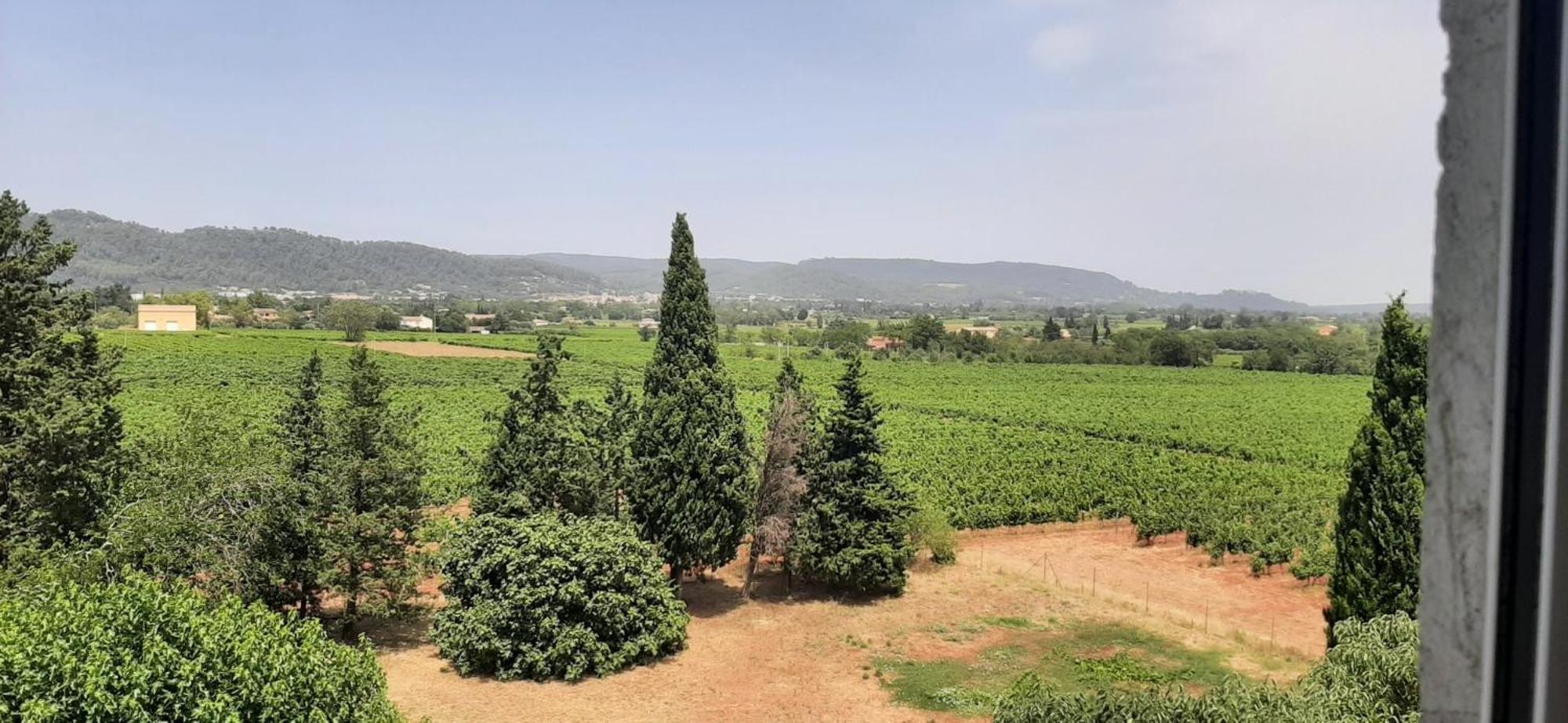 Bed And Breakfast La Grande Lauzade Ле-Люк Номер фото